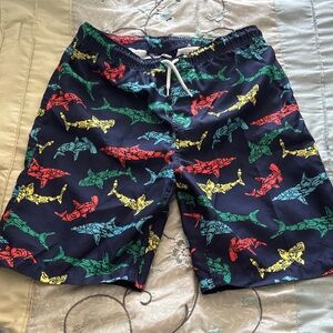 Lands End Colorful Shark Print Swim Shorts